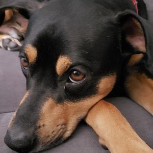 Meet your Posher, Bianca